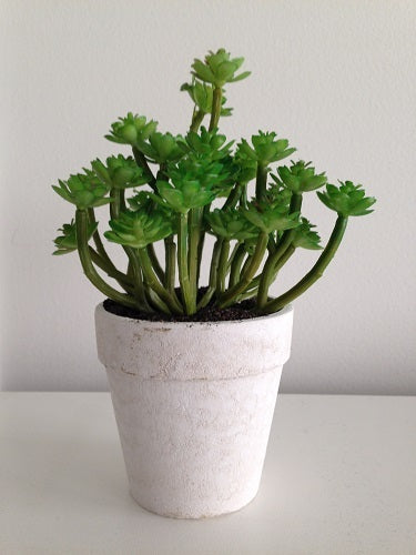 Durie Artificial Succulent Plant In Pot