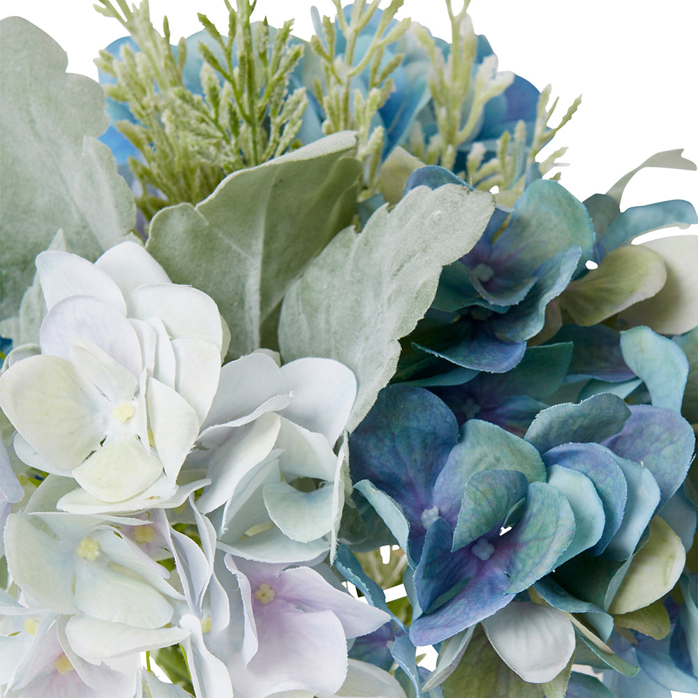 Hydrangea Dusty Miller Mix-Al - Soft Blue