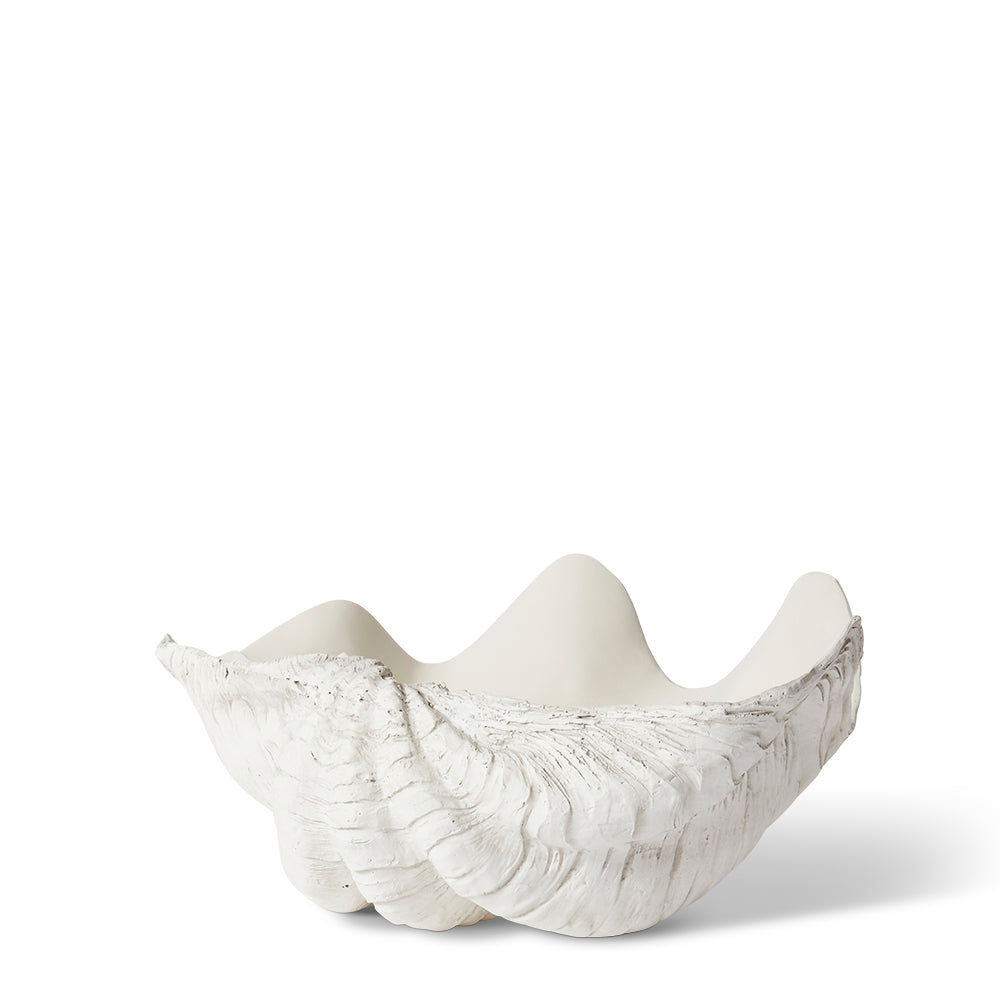 Clam Shell Sculpture